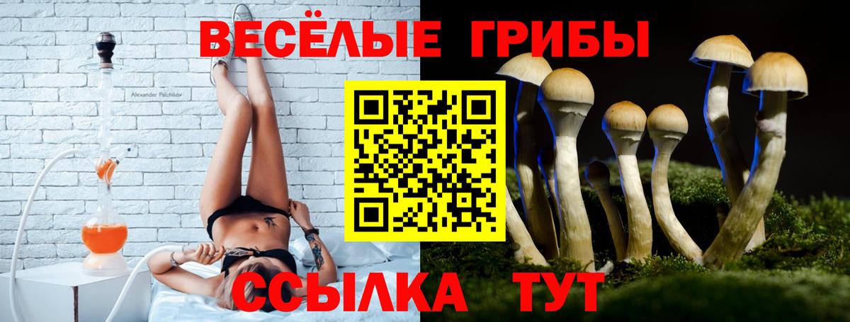 Псилоцибиновые грибы мухоморы  Псилоцибиновые грибы Psilocybine cubensis  где продают наркотики  Вход с VPN  Свободный 